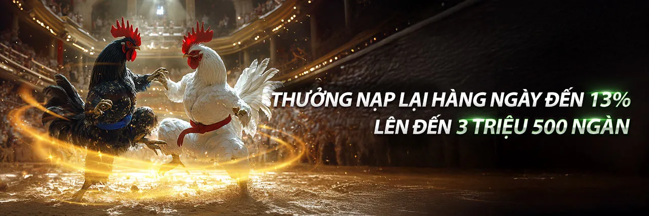 Đá Gà Thomo 7/10 trực tiếp tại Neo88 Net